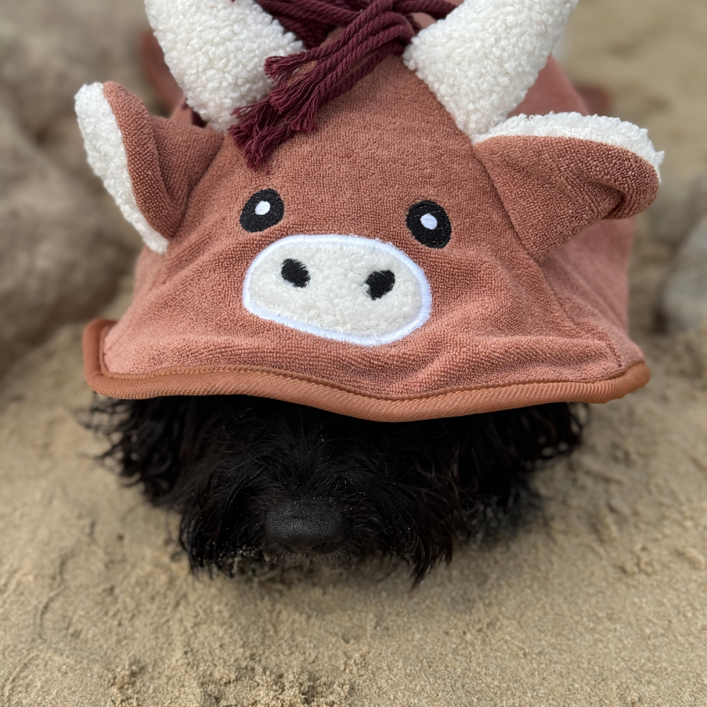 Harold the Highland Cow Drying Robe