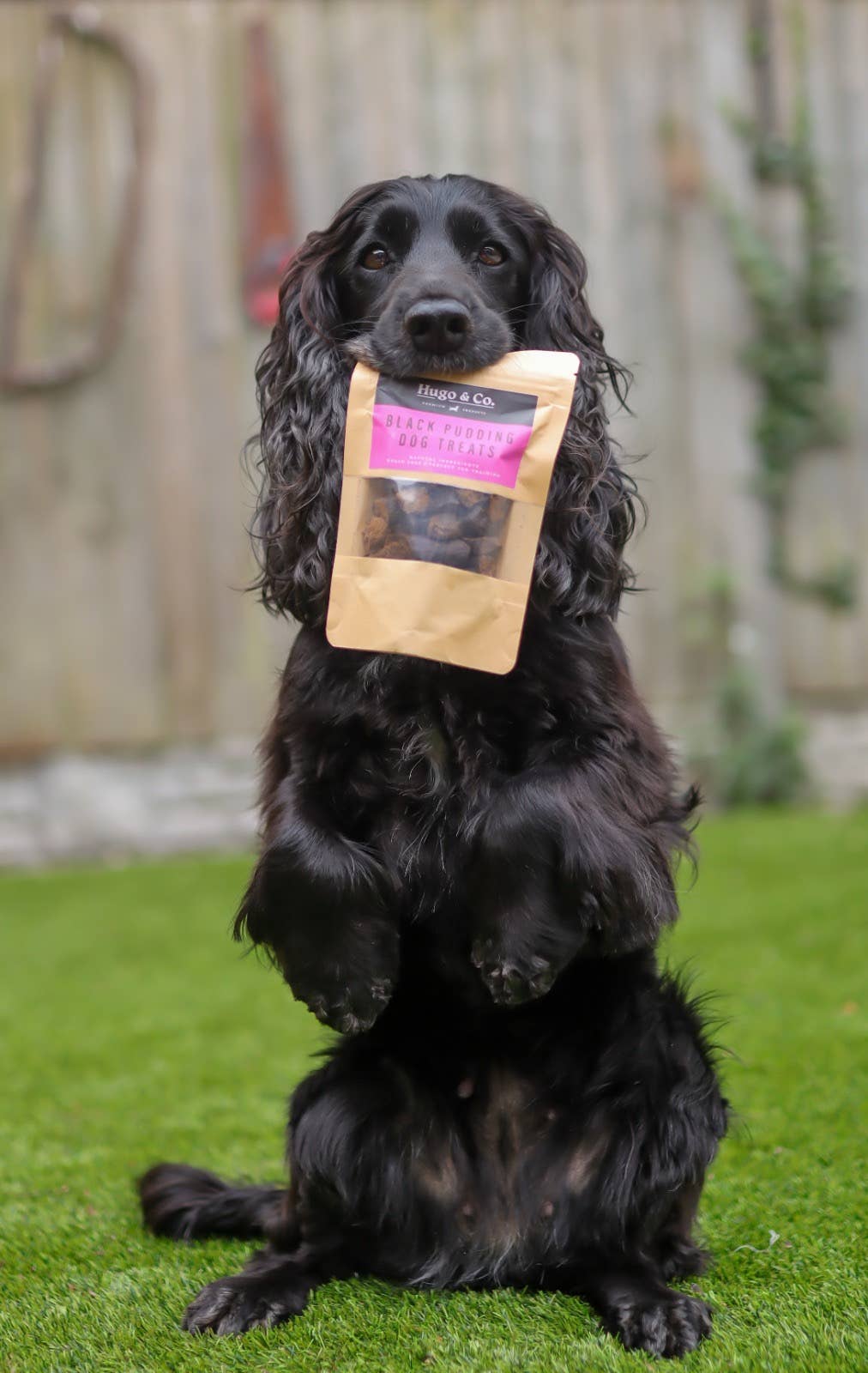 Black Pudding Dog Treat Bag - 75g