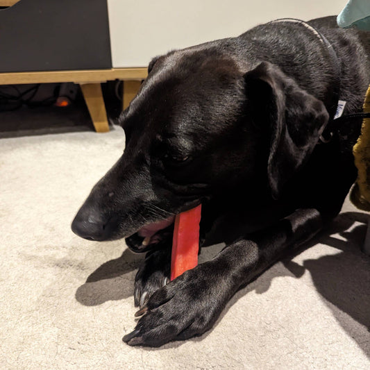 K2 Yak Chews 100% Natural Dog Treats Strawberry Medium