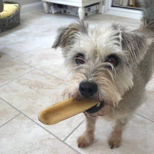 K2 Yak Chews 100% Natural Longer Lasting Dog Treats Medium