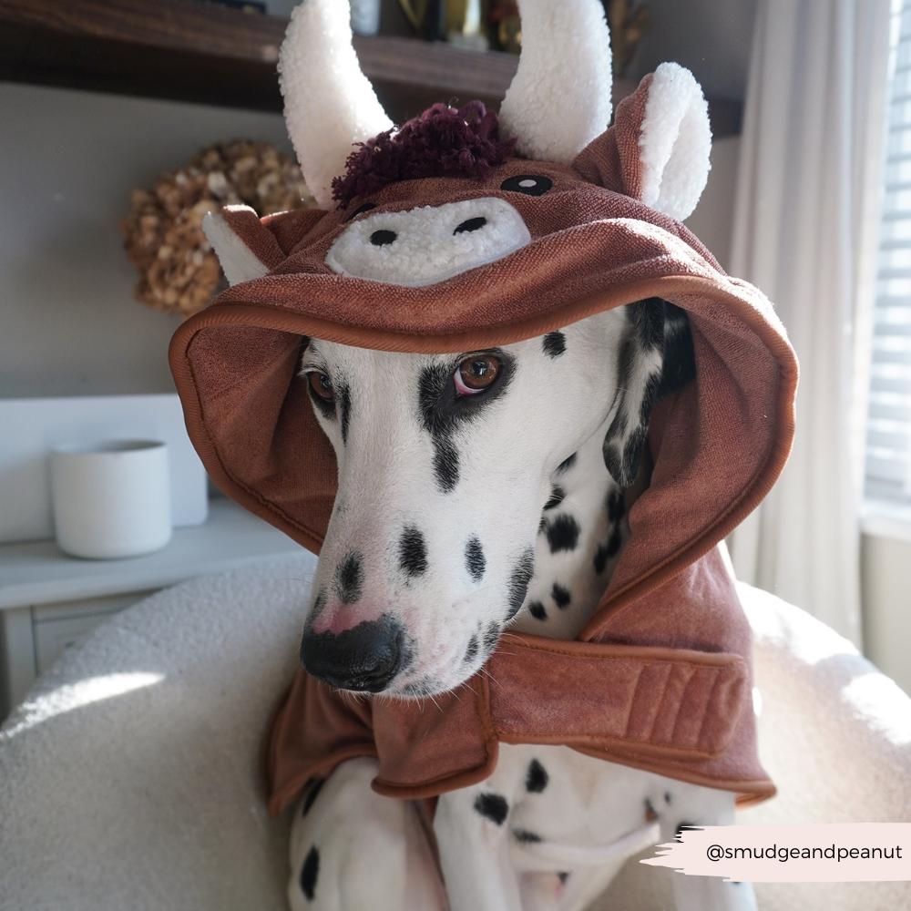 Harold the Highland Cow Drying Robe