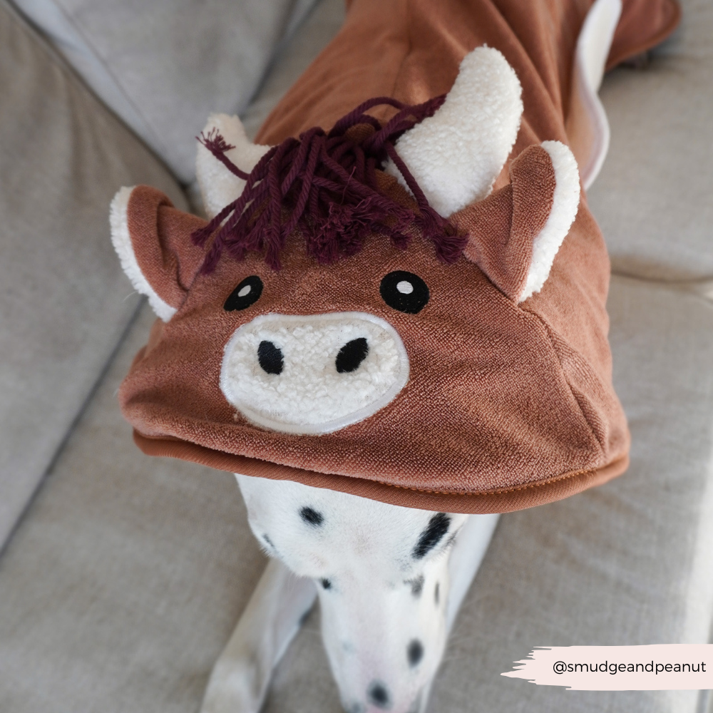 Harold the Highland Cow Drying Robe