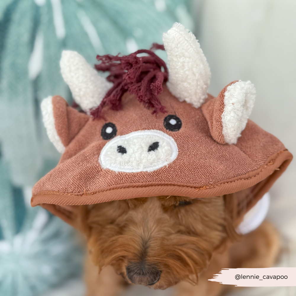 Harold the Highland Cow Drying Robe