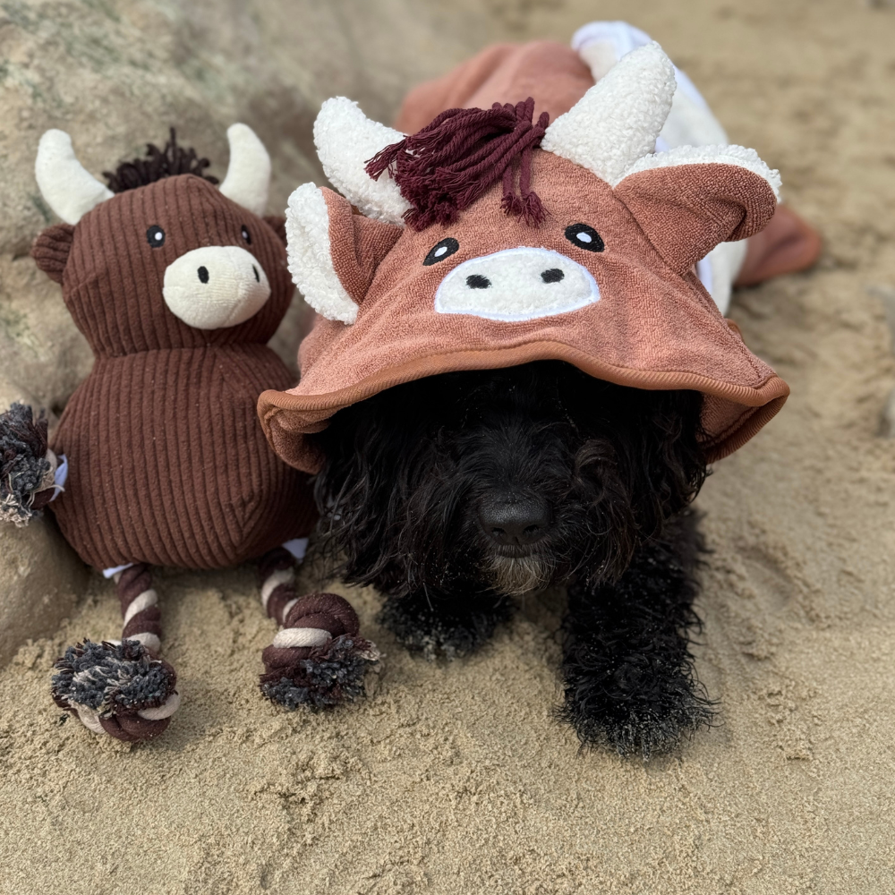 Harold the Highland Cow Drying Robe