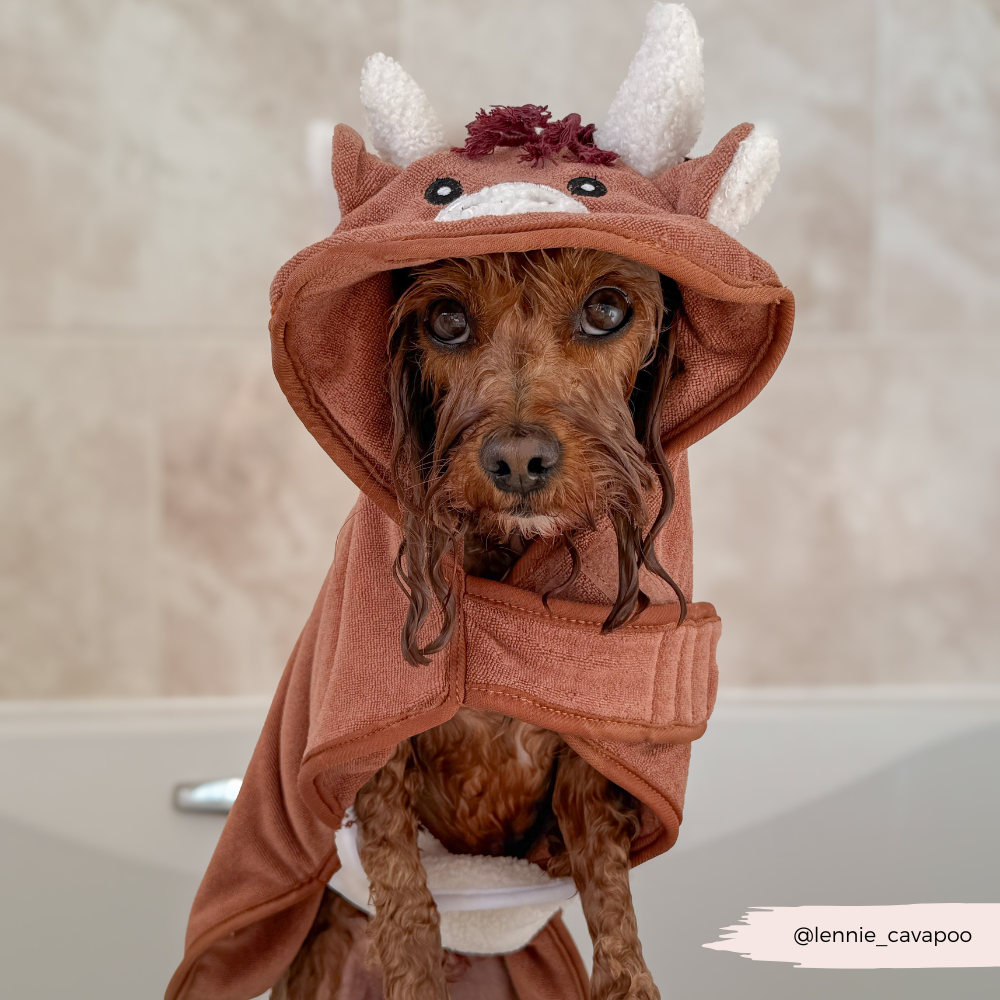 Harold the Highland Cow Drying Robe